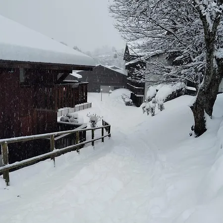Aux Pieds Des Pistes / Piscine